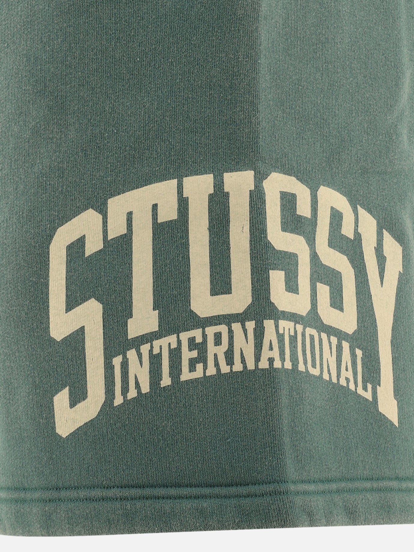 "Stüssy international" shorts