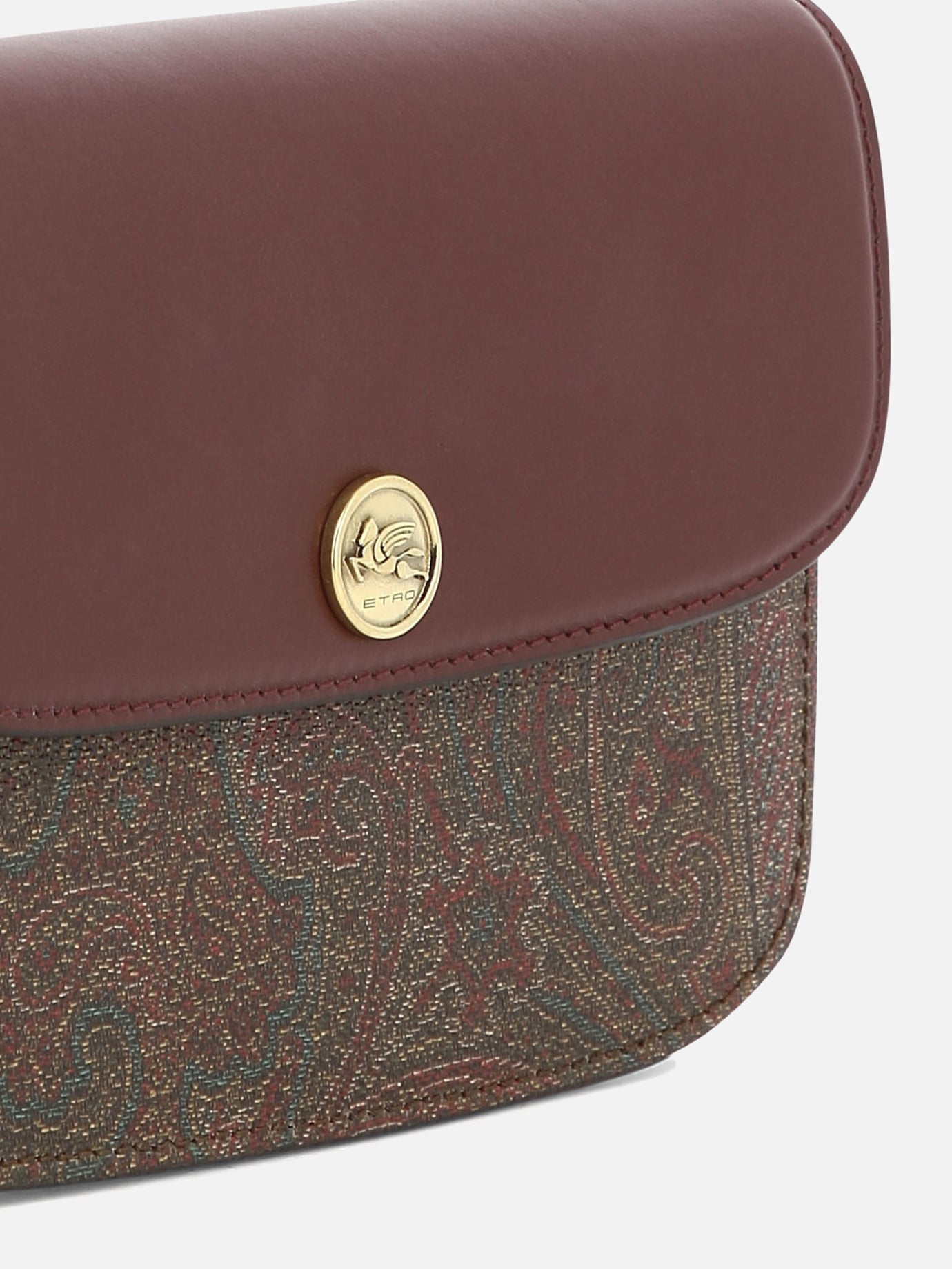 Small bags 1P050  Bordeaux - Etro Women | PDP | VIETTI Online Store | thumbnail_4
