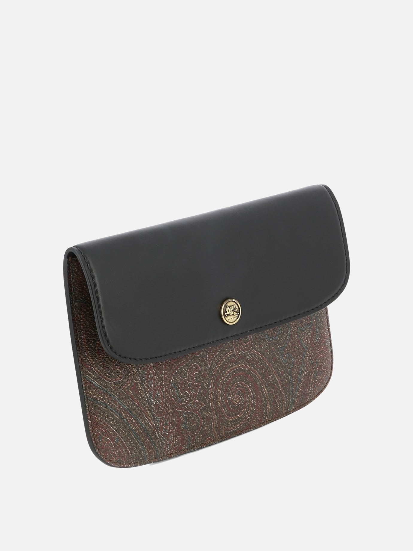 "Paisley" document case