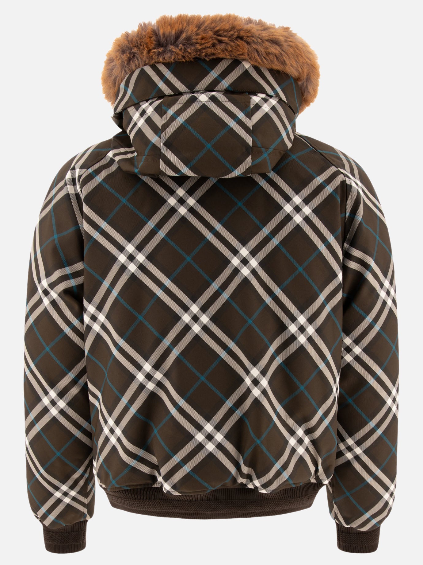 Down jackets Check  Green - Burberry Men | PDP | VIETTI Online Store | Zoom-Modal_2
