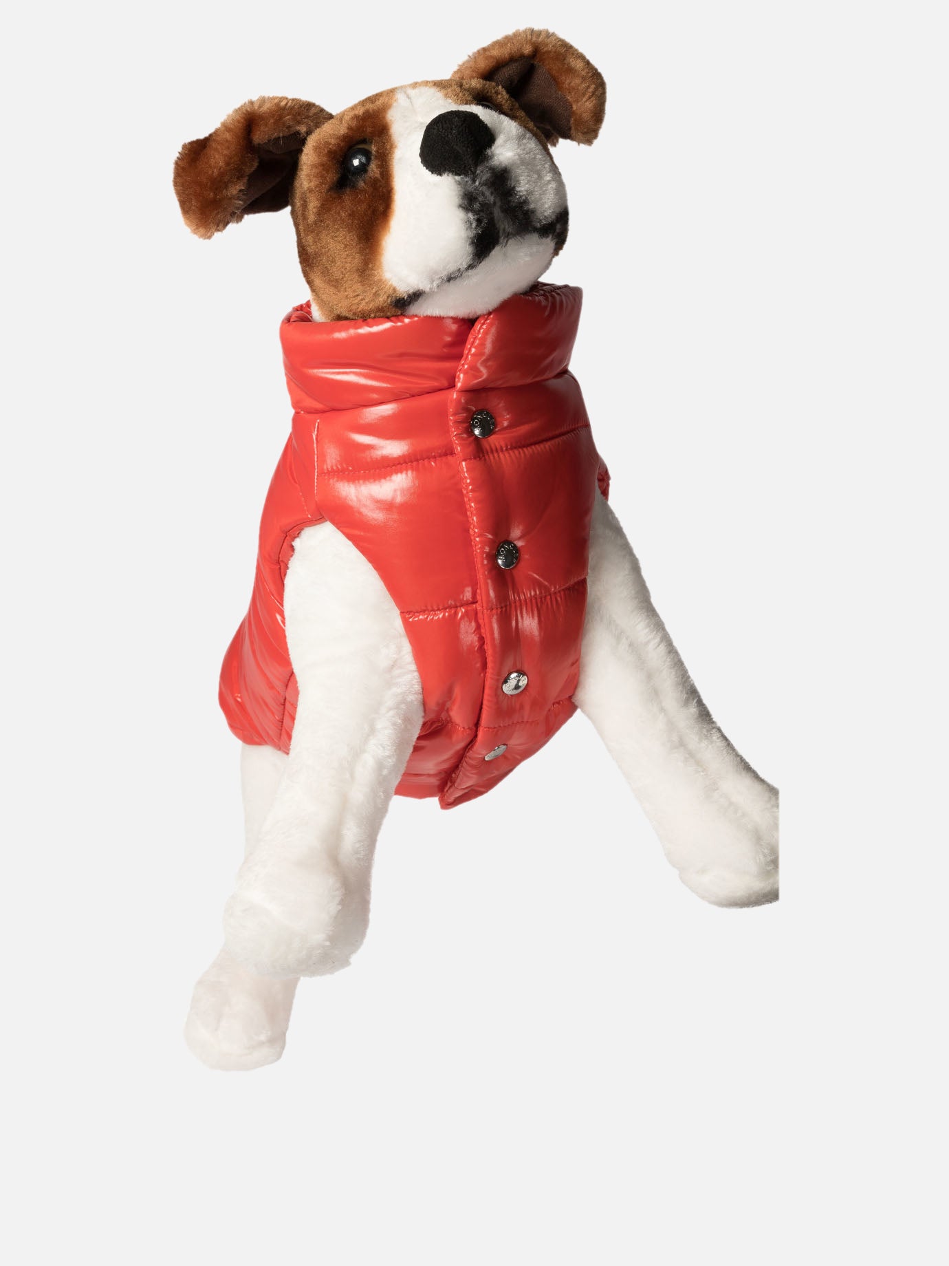 Dog vest