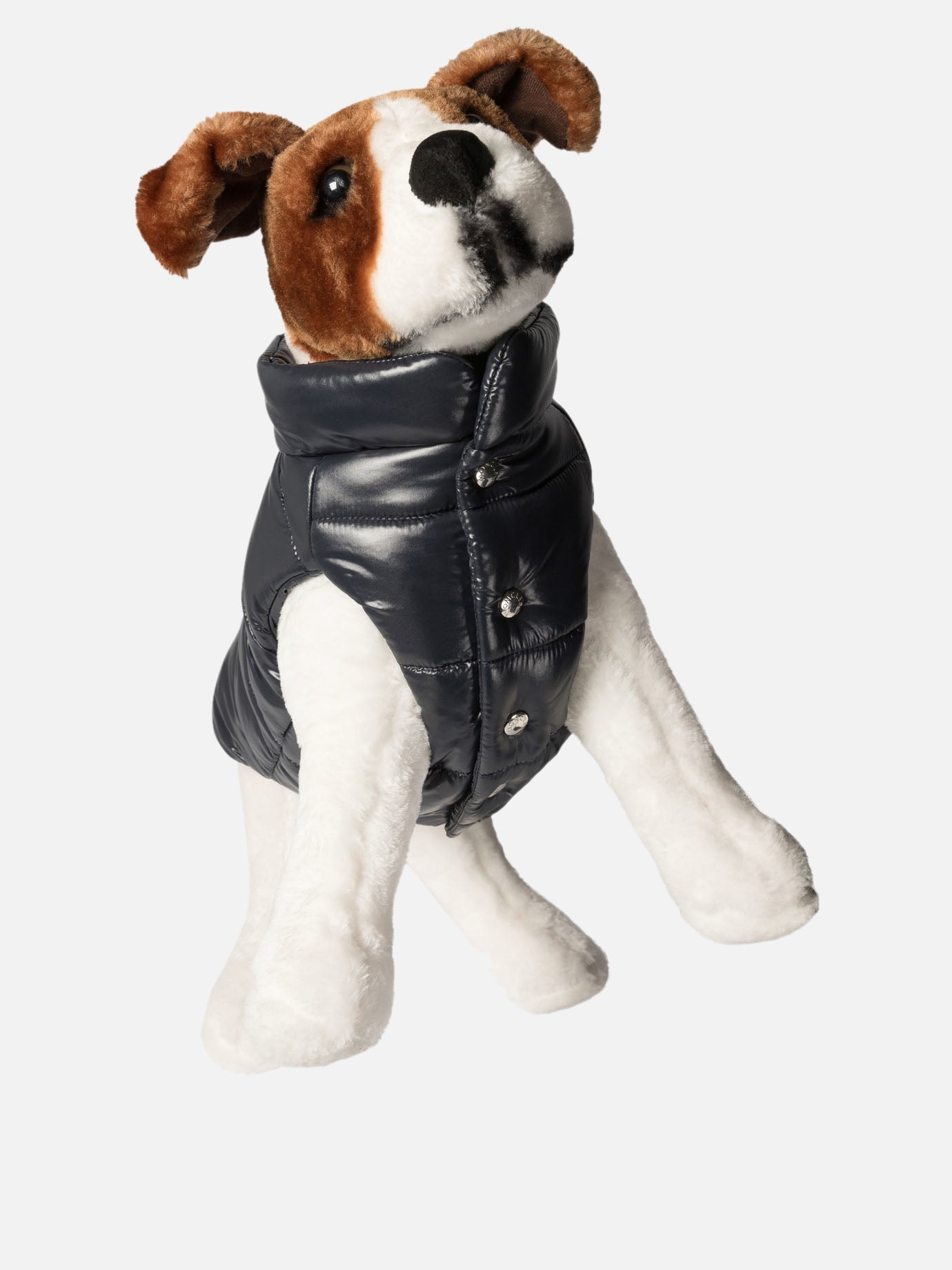 Moncler Poldo Dog vest Blue