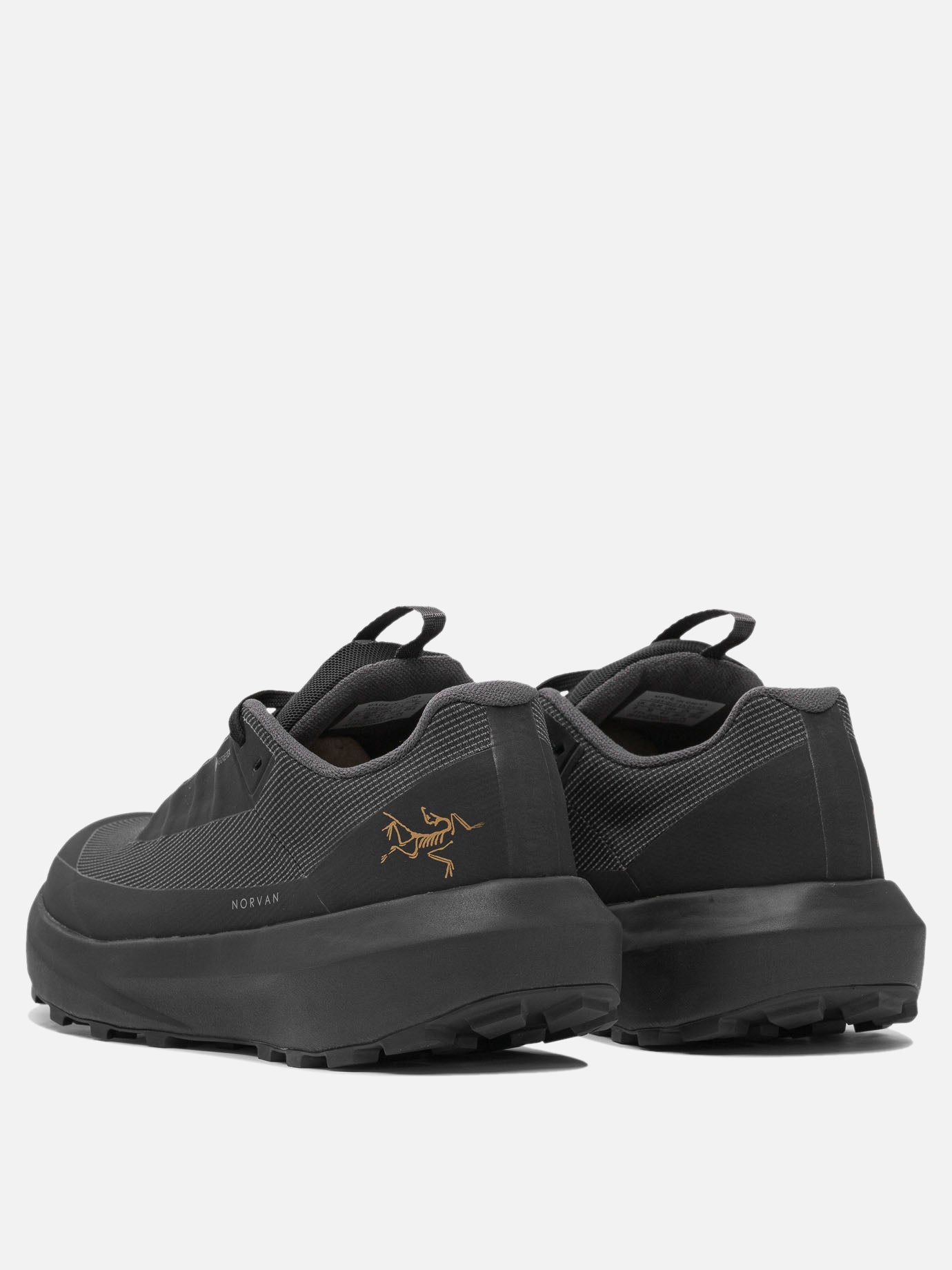 Arc'teryx "Norvan LD 4 GTX" Sneakers Black