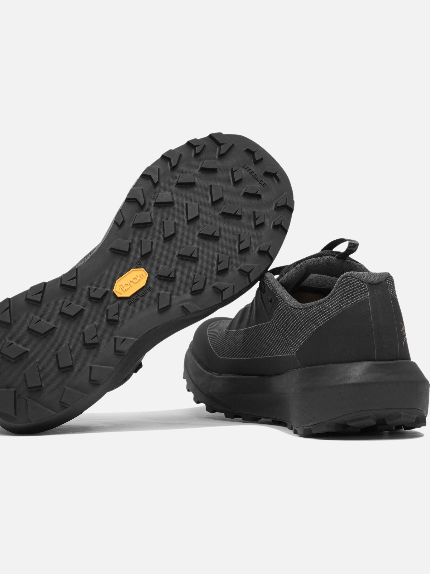 Arc'teryx "Norvan LD 4 GTX" Sneakers Black