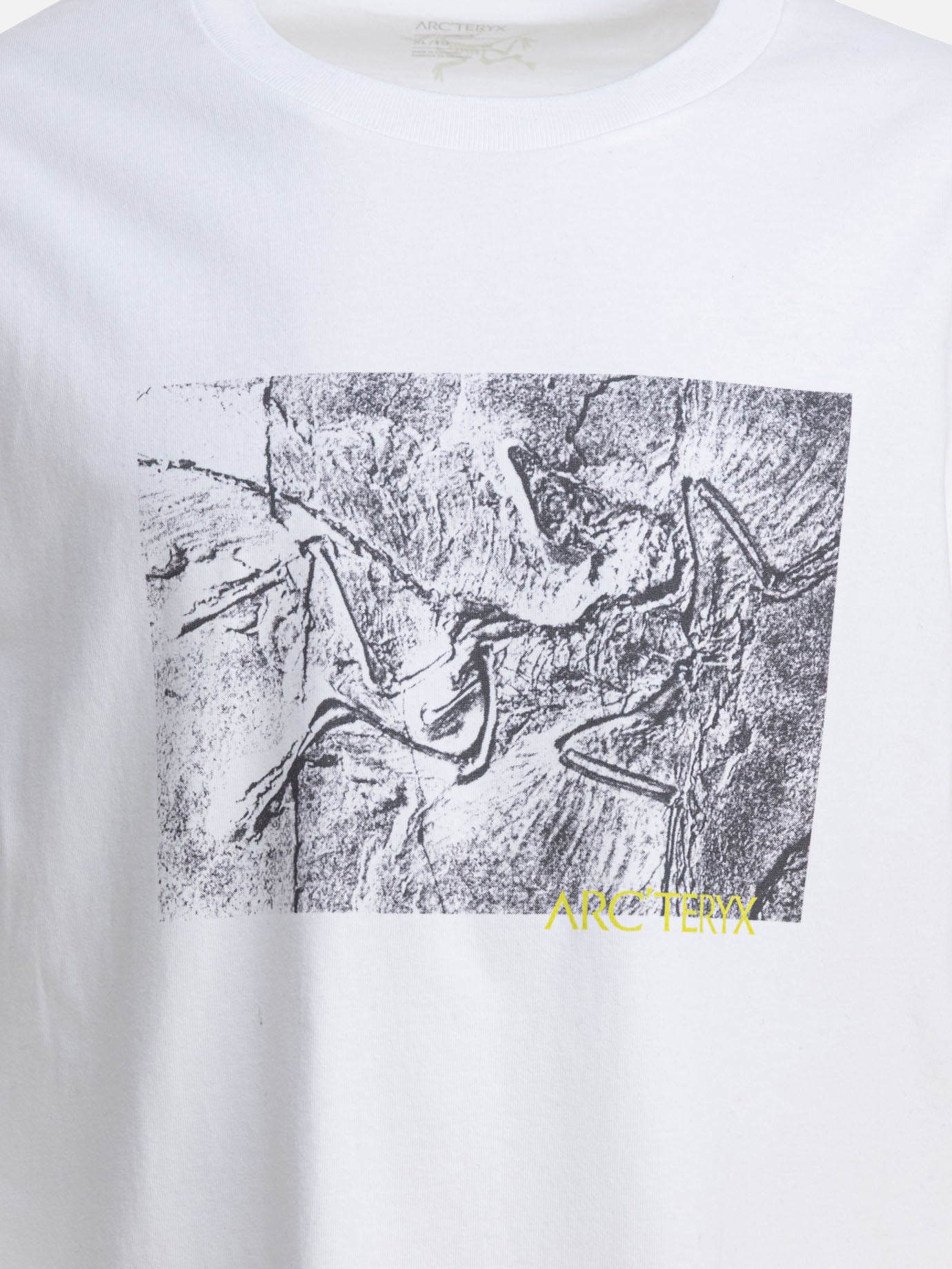 Crewneck t-shirts Graphics  White - Arc'teryx Men | PDP | VIETTI Online Store | Zoom-Modal_3
