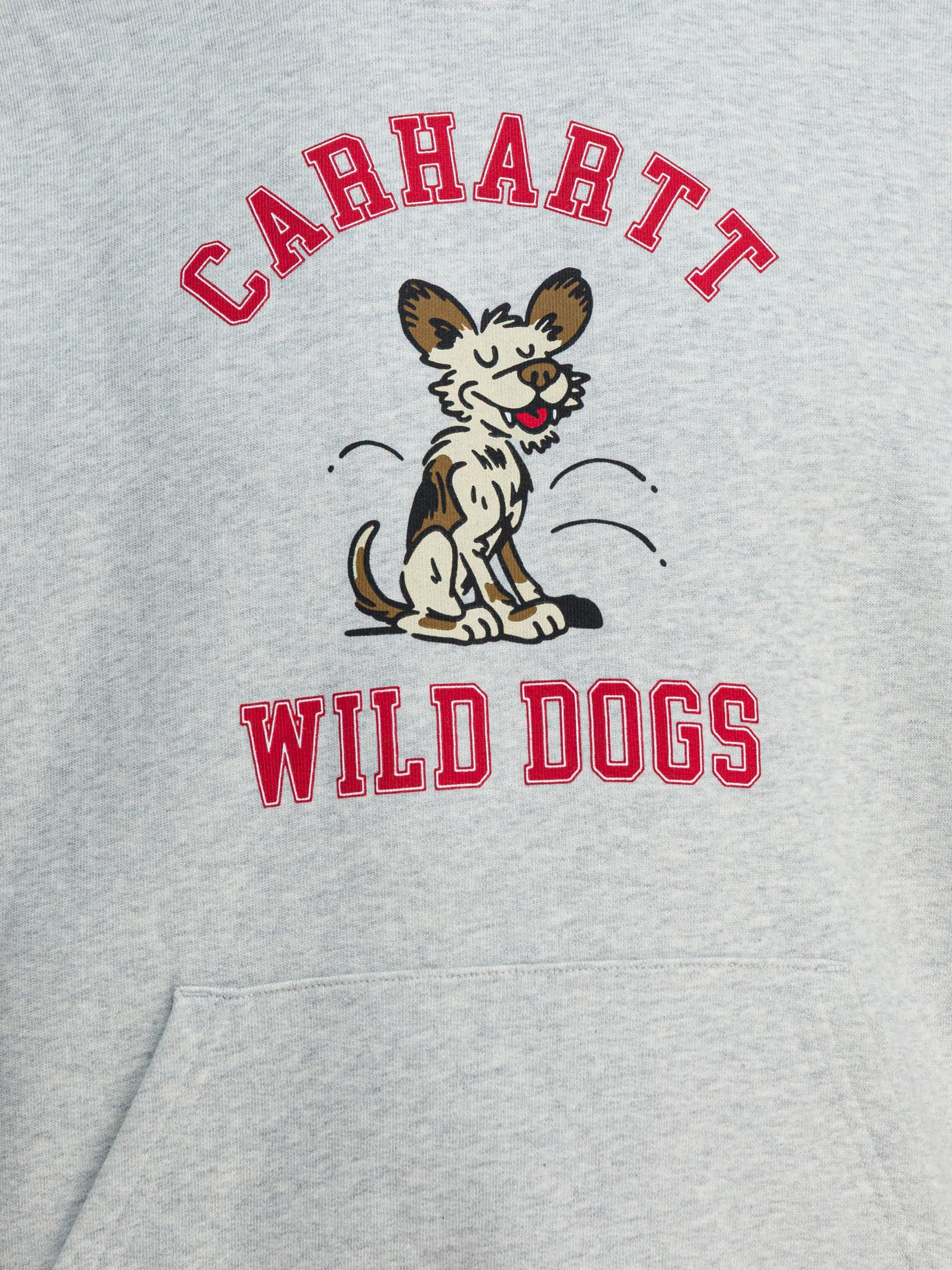 Hoodies Graphics  Grey - Carhartt WIP Men | PDP | VIETTI Online Store | thumbnail_3
