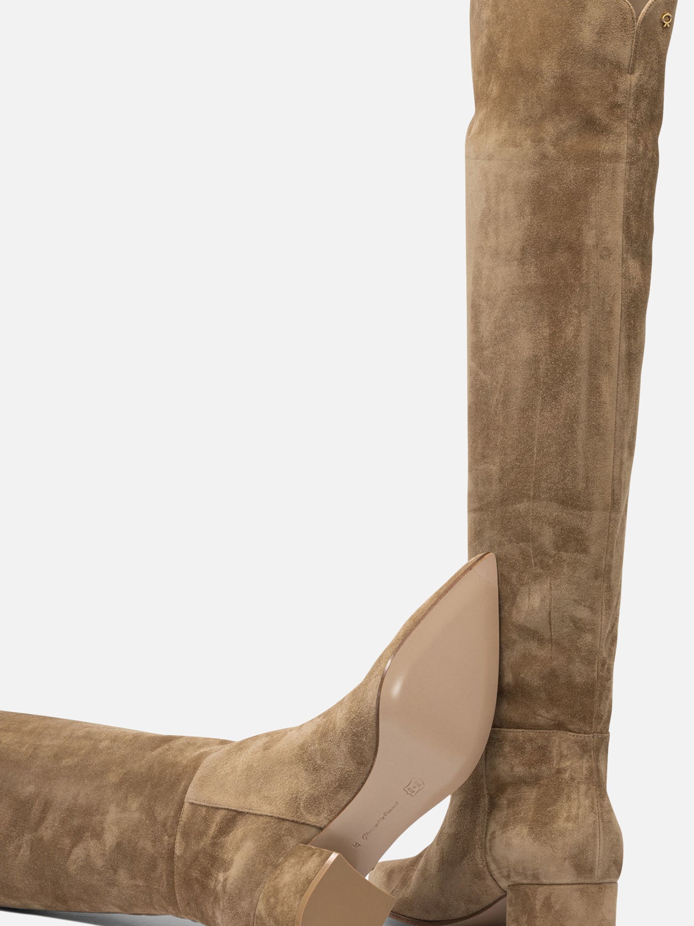 Over the knee 100% suede - 100% leather  Beige - Gianvito Rossi Women | PDP | VIETTI Online Store | thumbnail_5